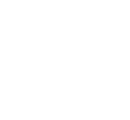 Instinctive IT